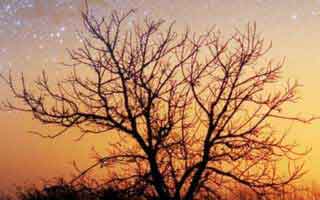 你以为云体育入口只是个入口，其实它可能在做假安装包分流：1分钟快速避坑