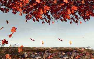 华体会体育HTH验证码！设备登录记录这样看更安全！只要记住这一条就够了