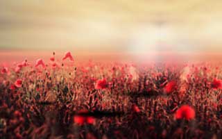 关于澳门PK10的一个误区被反复传播：真相其实是所谓概率优势多是话术：别被‘稳赚’冲昏头