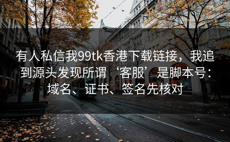 有人私信我99tk香港下载链接，我追到源头发现所谓‘客服’是脚本号：域名、证书、签名先核对